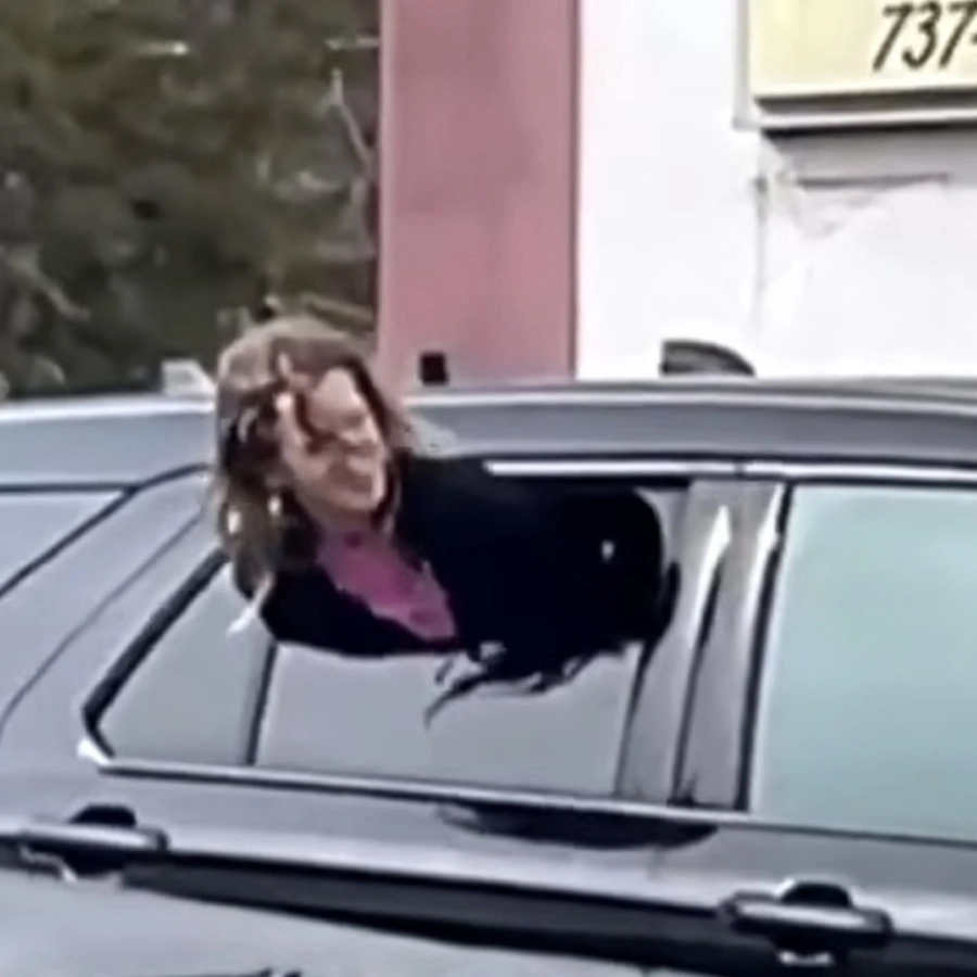Woman Gets Out Of Tight Spot By Squeezing Through Half-Open Cop Car Window